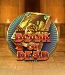 Погрузитесь в захватывающий мир Book of Dead от Play'n GO, показывающий яркую графику приключений Рича Уайлда по древнеегипетским гробницам и артефактам. Раскройте затерянные богатства с увлекательными механиками, такими как бесплатные вращения, расширяющиеся символы и возможность игры на риск. Идеально для исследователей, желающих раскопок секретов.